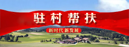 驻村帮扶